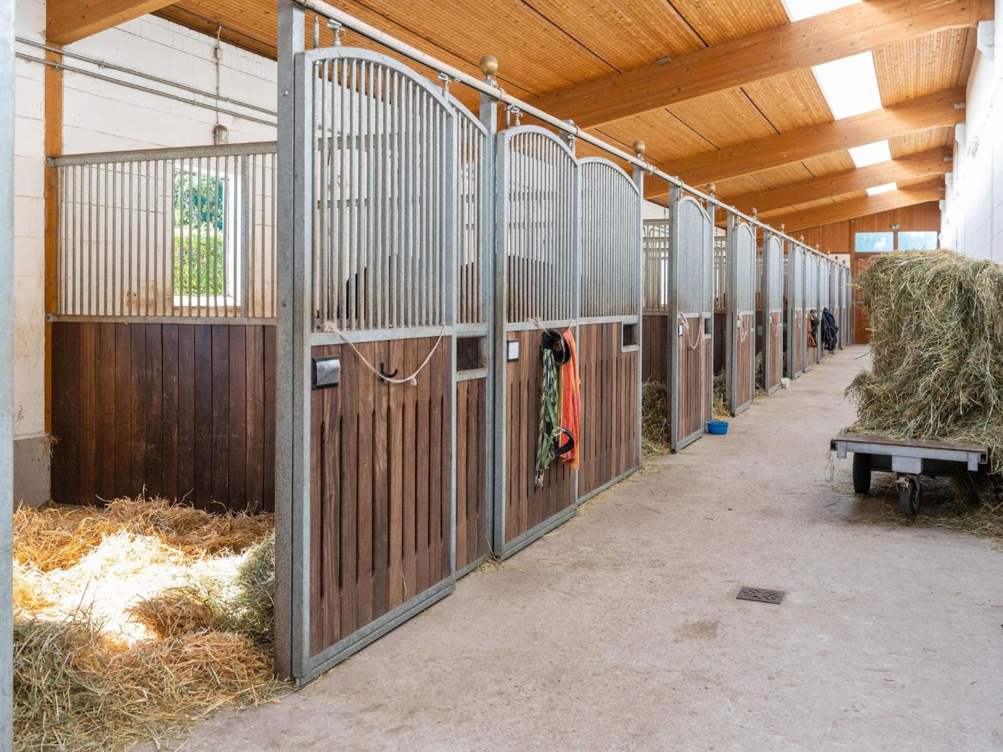 Holiday Home On A Horse Farm In The L Neburg Heath Eschede Dış mekan fotoğraf