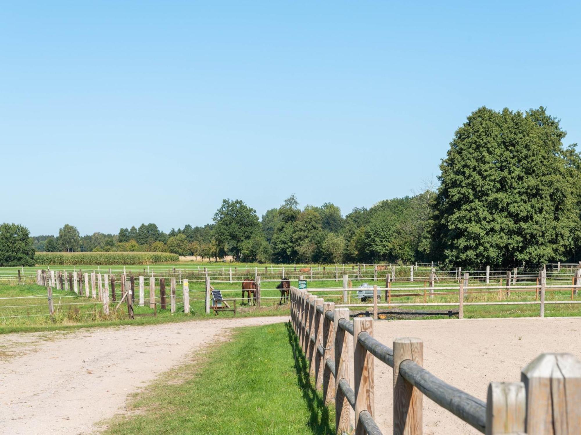 Holiday Home On A Horse Farm In The L Neburg Heath Eschede Dış mekan fotoğraf