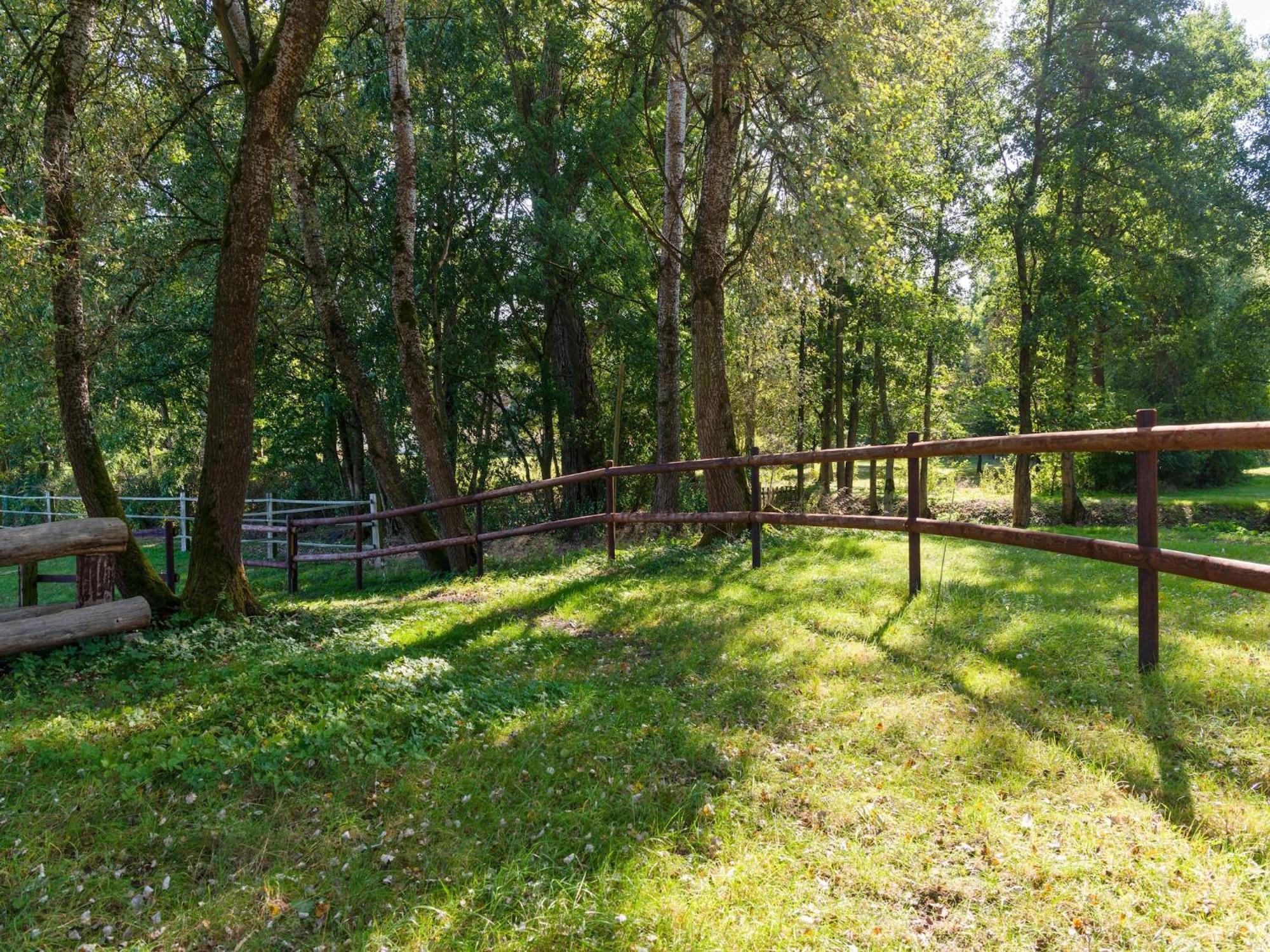 Holiday Home On A Horse Farm In The L Neburg Heath Eschede Dış mekan fotoğraf